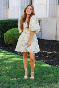 Olivia Embroidered Mini Dress