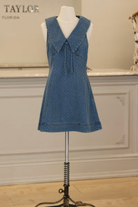 Sierra Fall Mini Dress