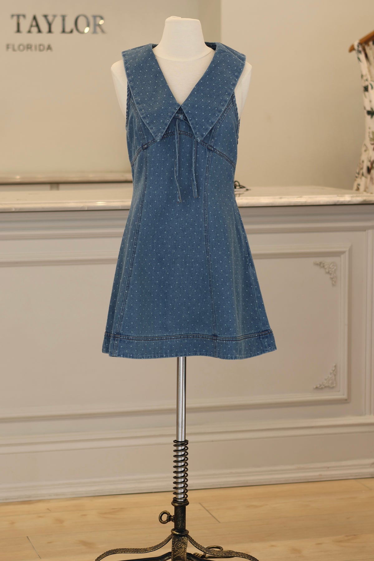 Sierra Fall Mini Dress