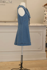 Sierra Fall Mini Dress
