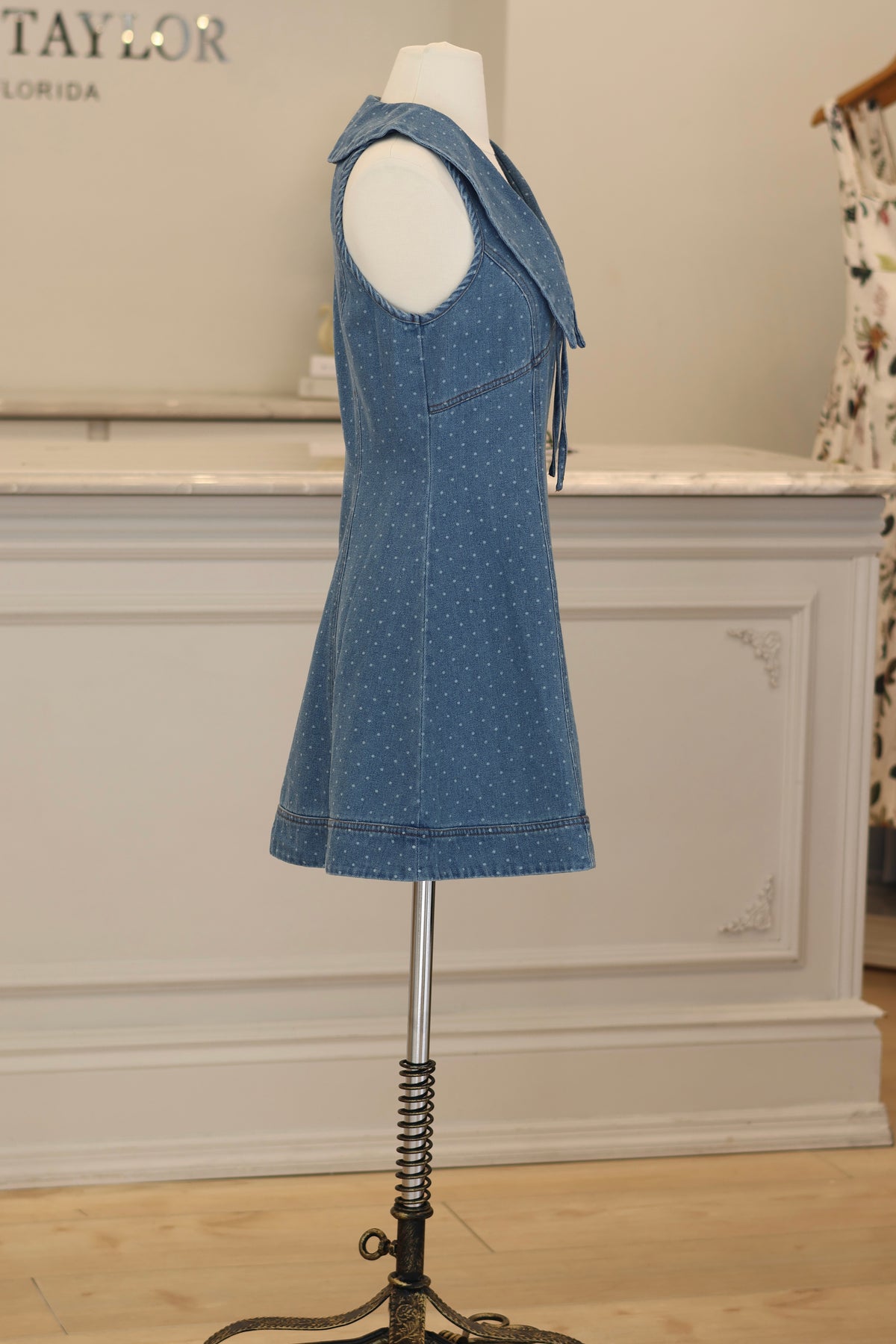 Sierra Fall Mini Dress
