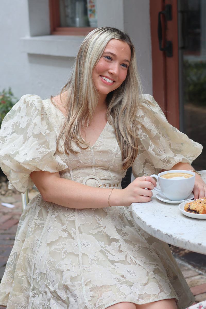 Olivia Embroidered Mini Dress