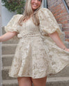 Olivia Embroidered Mini Dress